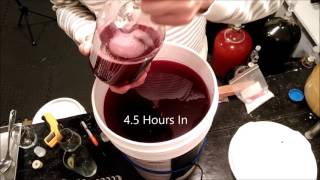 Reusing yeast to start a wine [upl. by Imnubulo858]