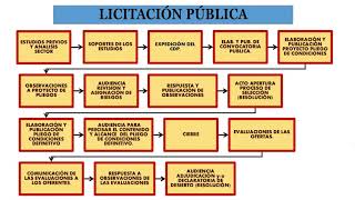 LICITACIÓN PÚBLICA PASOS Y TIEMPOS [upl. by Emmeline]