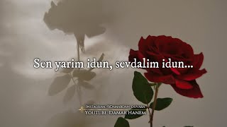 Sen Yarim İdun  Sözler  Sözleri  Lyrics [upl. by Adnalue530]