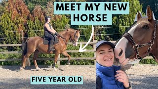 A New Chapter Begins  Meet My New Five Year Old Horse [upl. by Pammy]