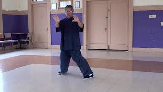 Traditional Yang Style 108 form Tai Chi Chuan 太极拳 [upl. by Eibur]