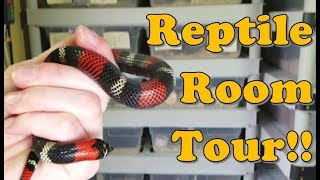 Reptile Room Tour Part 1 [upl. by Botsford]