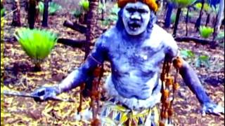 Yothu Yindi  Tribal Voice [upl. by Gardy]