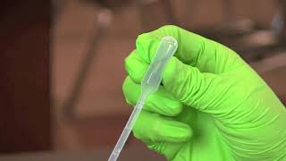 How To Use A Transfer Pipet [upl. by Nixon]