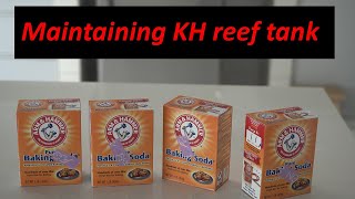 Dosing Kh in reef tank using Soda powder or Soda ash [upl. by Rostand62]