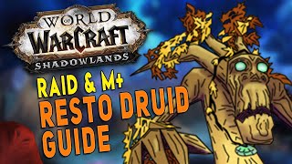 Shadowlands RESTO DRUID Guide Raid amp M  Gameplay Legendaries Talents DPS amp More  WoW [upl. by Semmes]