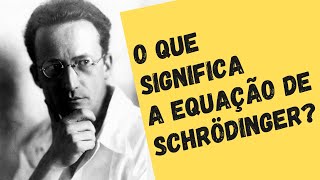 FÍSICA QUÂNTICA PARA PRINCIPIANTES O que é a equação de Schrödinger [upl. by Stace409]