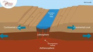 Tectonic Processes  Compilation [upl. by Ruffo]