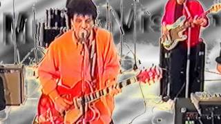 Mungo Jerry quot In The Summertime quot MungoVision [upl. by Asseral]