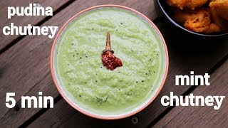 pudina chutney recipe  mint chutney  पुदीने की चटनी  pudina chatni [upl. by Rab]