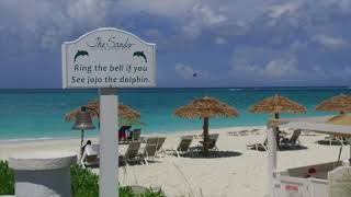 The Sands Turks and Caicos The Ultimate Beach Resort [upl. by Frazier303]