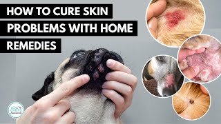 How To treat 5 Skin infection in dogs 🐕 with home remedies [upl. by Pearson]