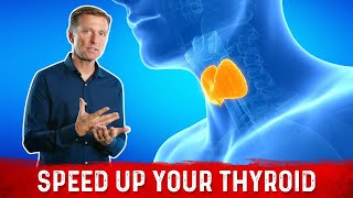 How to Get Your Thyroid to Work Correctly [upl. by Netsew]