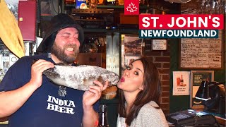 Newfoundland Travel Guide Best Things to Do in ST JOHNS [upl. by Rasla459]