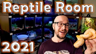 The NEW Reptile Room Tour 2021  Over 75 Reptiles and Their Enclosures [upl. by Naanac]