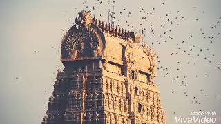 Tiruvannamalai temple [upl. by Codding]