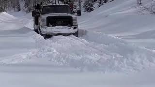 Ford f350 dually in deep snow [upl. by Decato]