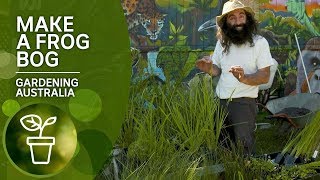 How to create a frog bog habitat [upl. by Tj]