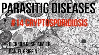 Parasitic Diseases Lectures 14 Cryptosporidiosis [upl. by Knowland223]