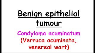 condyloma acuminatum English [upl. by Egres]