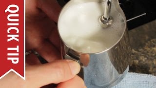 How to AutoFroth Milk for Lattes [upl. by Amanda]