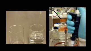 How to Use a Pipette [upl. by Nikral398]