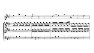 Violin Concerto quotSpring  La Primaveraquot in E major Op 8 No 1  Vivaldi Score [upl. by Clyde]