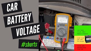 What Voltage Should Car Battery Be [upl. by Egiarc764]