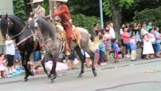 Mexican Dancing Horses [upl. by Kealey448]