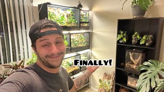 Reptile Room  Full Tour [upl. by Faires]