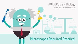 AQA GCSE 91 Biology Microscope Required Practical [upl. by Gaskin]