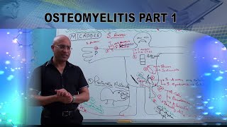 The Four Stages of Bone Fracture Healing [upl. by Mariejeanne325]