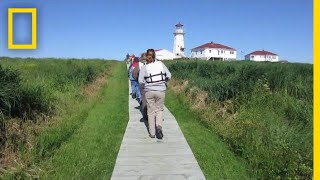 What Is the Gray Zone Border Between the US and Canada  National Geographic [upl. by Plate]