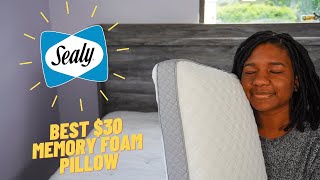 Sealy Memory Foam Pillow Review  30 Deal [upl. by Kreindler]