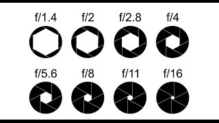 Beginner DSLR Photography basics Aperture and depth of field guide [upl. by Ynaffet]