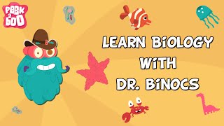 Learn Biology With Dr Binocs  Compilation  Learn Videos For Kids [upl. by Akirret]