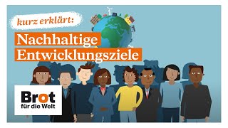 Kurz erklärt Nachhaltige Entwicklungsziele [upl. by Nnylecoj]