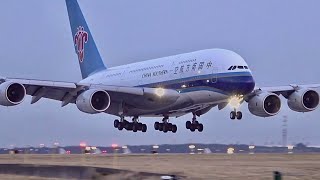 120 planes in 1 hour  Paris CDG Airport Plane Spotting🇫🇷 Close up big airplane Heavy landing [upl. by Buffo287]