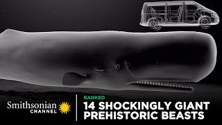 14 Shockingly Giant Prehistoric Beasts 🐋 Smithsonian Channel [upl. by Samy288]