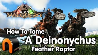 ARK How To Tame A Deinonychus Feathered Raptor NEW Valguero Dino [upl. by Eva]