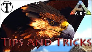 Fast Griffin Taming Guide  Ark  Survival Evolved Tips and Tricks [upl. by Daniel]