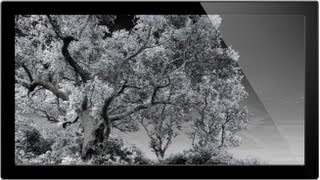 How To Convert Images To Infrared  Infrared Photography [upl. by Elianore]