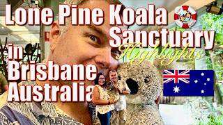 Lone Pine Koala Sanctuary  Highlights [upl. by Alhak]