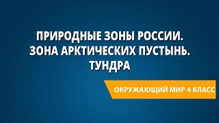 Природные зоны России Зона арктических пустынь Тундра [upl. by Llehcsreh]