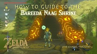 Breath of the Wild  Bareeda Naag Shrine Guide and Location [upl. by Onaicul]