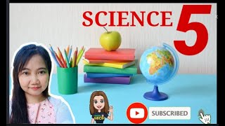 SCIENCE 5 Light Sound Heat and Electricity [upl. by Ahsiryt999]