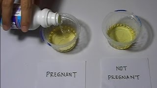 Home Pregnancy Test with Bleach Positive [upl. by Jacquenette]