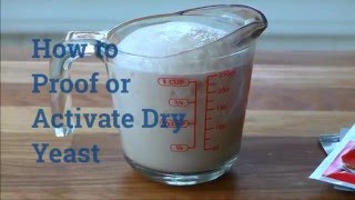 How to Proof or Activate Dry Yeast [upl. by Adnovoj]