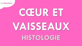 Le SYSTÈME CARDIOVASCULAIRE dans le VIEILLISSEMENT PHYSIOLOGIQUE Gériatrie [upl. by Rudich]