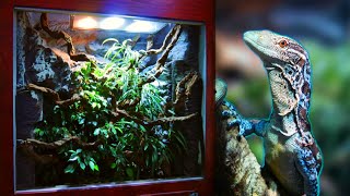 How I made a Huge Reptile Vivarium – Full Build [upl. by Boeschen]